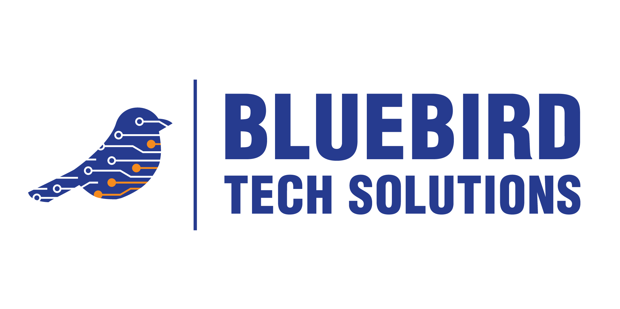 BlueBirdTechSolutions_Logo_1.png