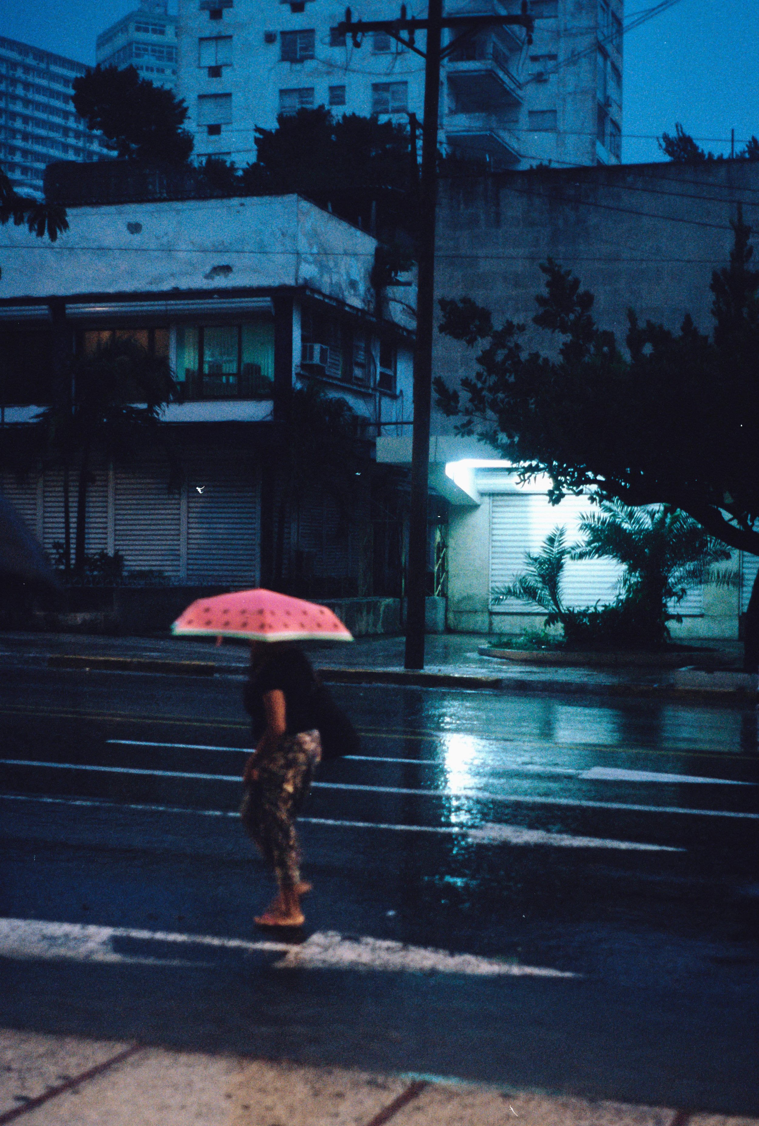 93000030 Havana Umbrella.jpg