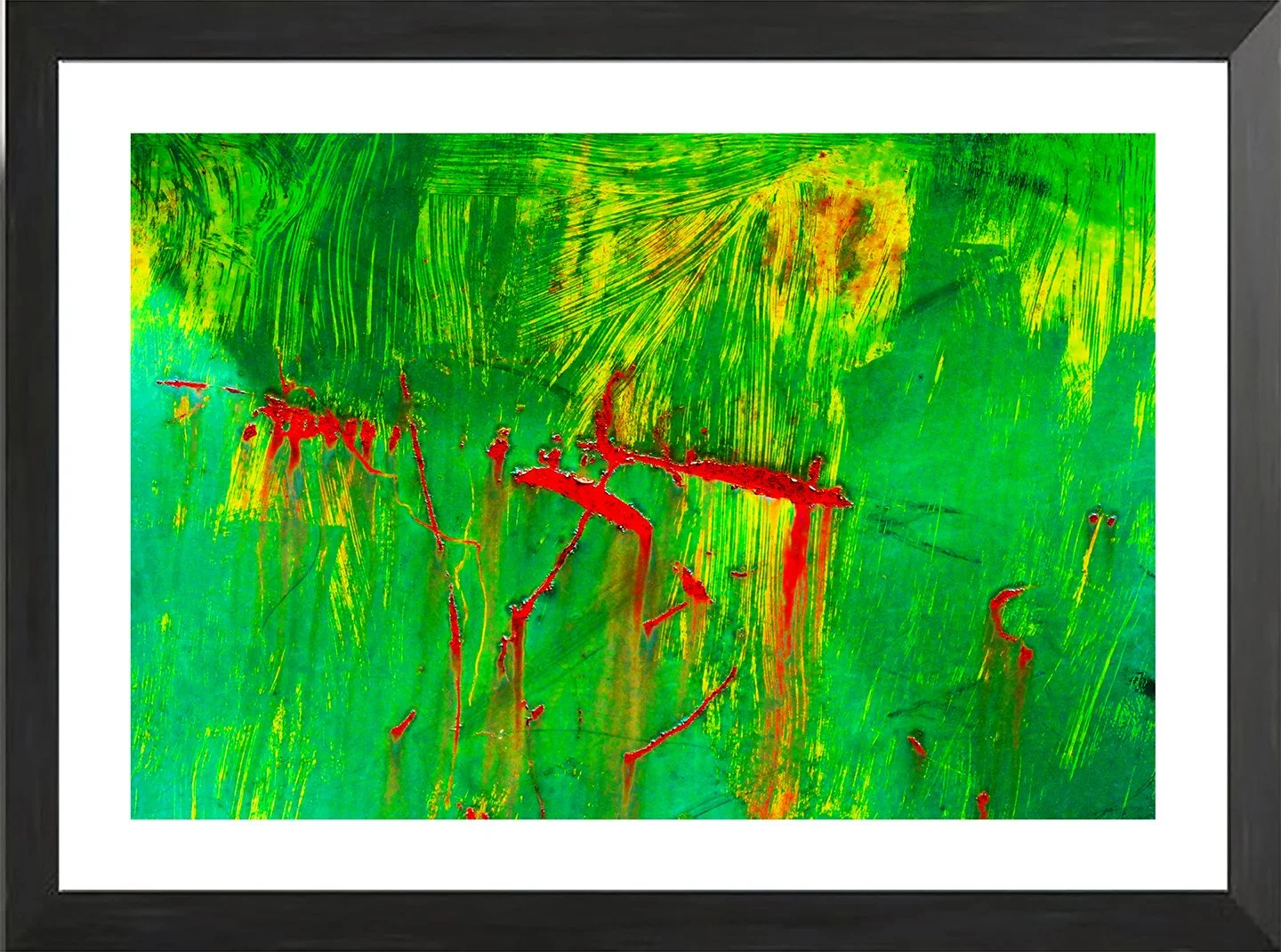 NET fr ylwsrcht 3040 .jpg