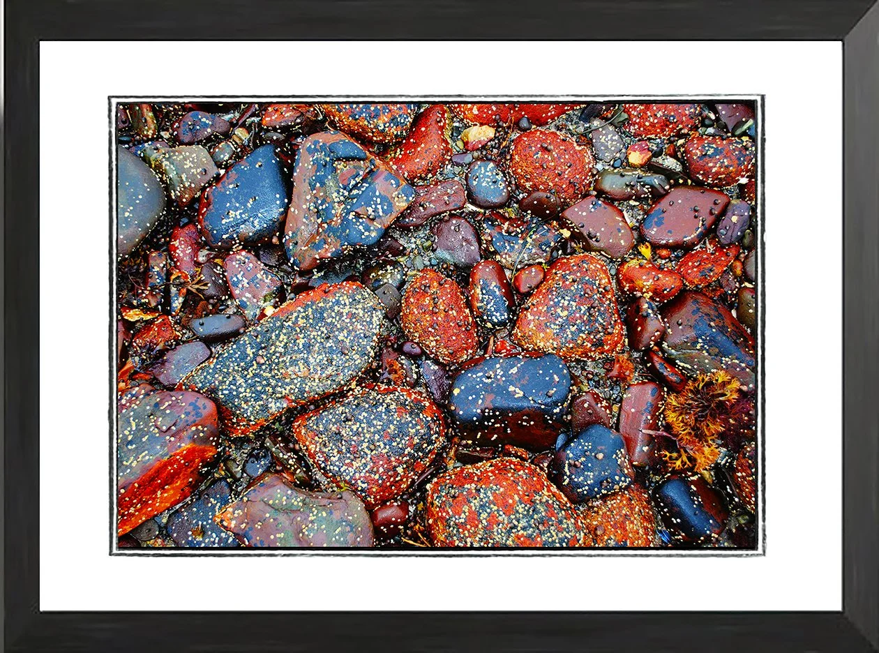 NET fr rock study 1b.jpg