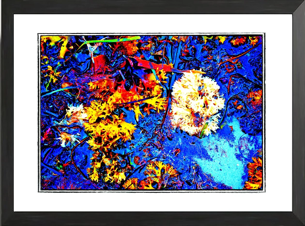 NET fr cweed 33 .jpg