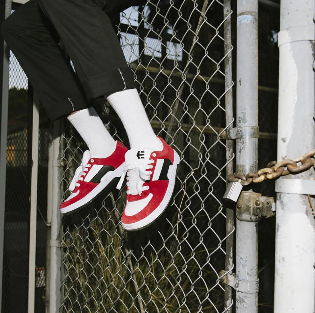 Etnies2.jpg