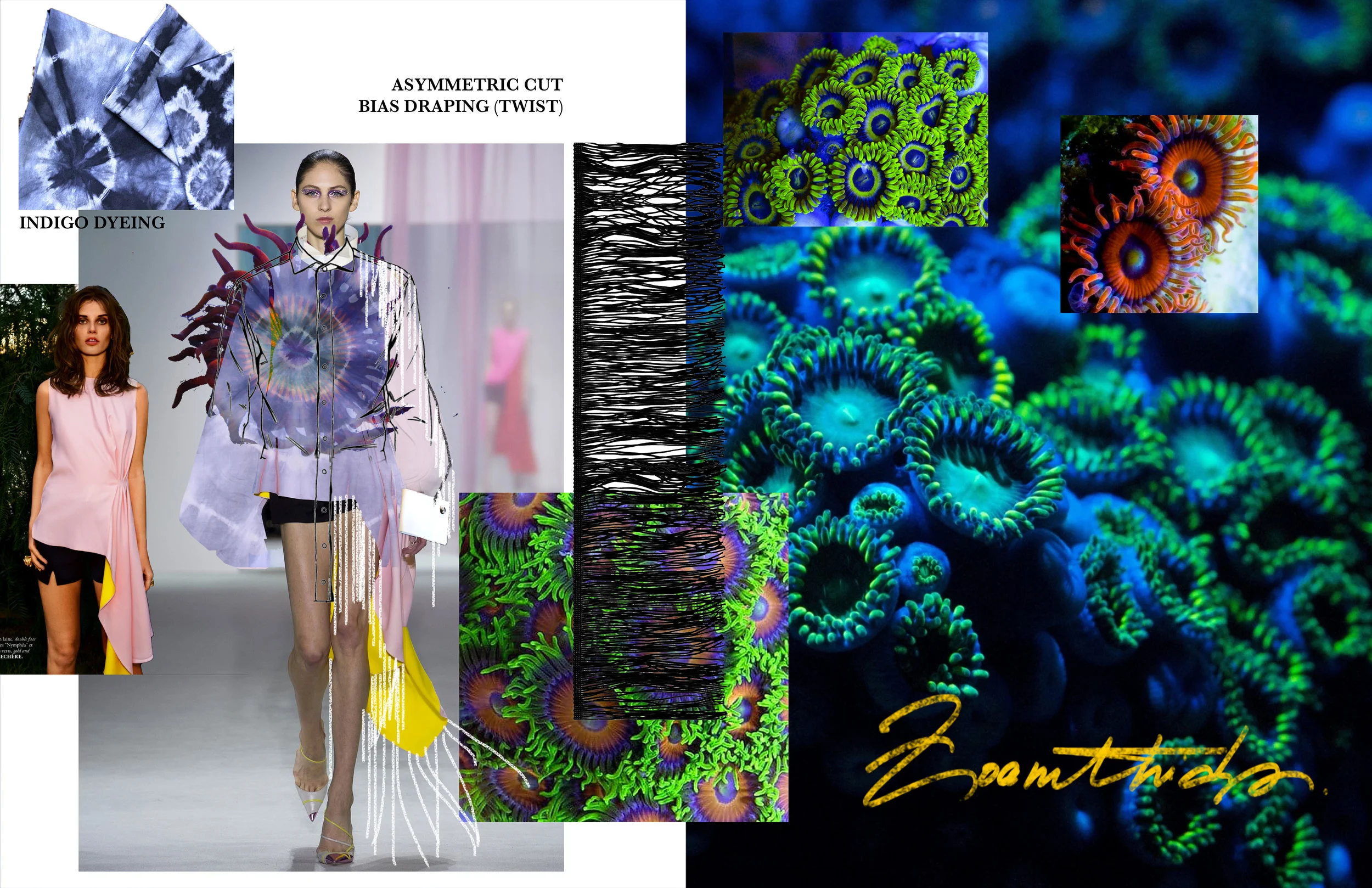 Zoanthids Take 7.jpg