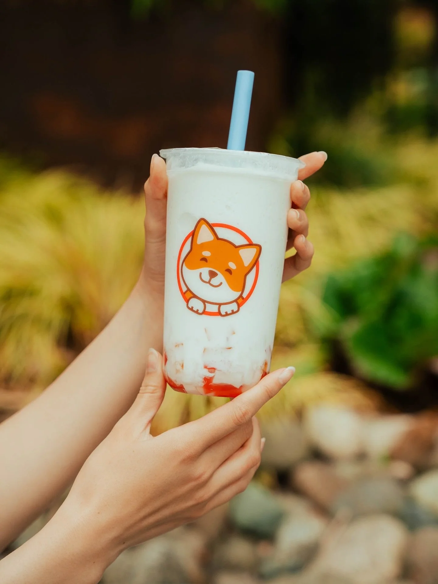 🥥Coconut Shake with Rainbow Jelly🥥

Can&rsquo;t go wrong!✨🫶🏽

.
.
.
#kirklandwa #lynnwoodwa #marysvillewa #foryou #nearme #cafenearme #boba #bubbletea #bubbleteaaddict #bobalove #bobalife #coconut #coconutshake
