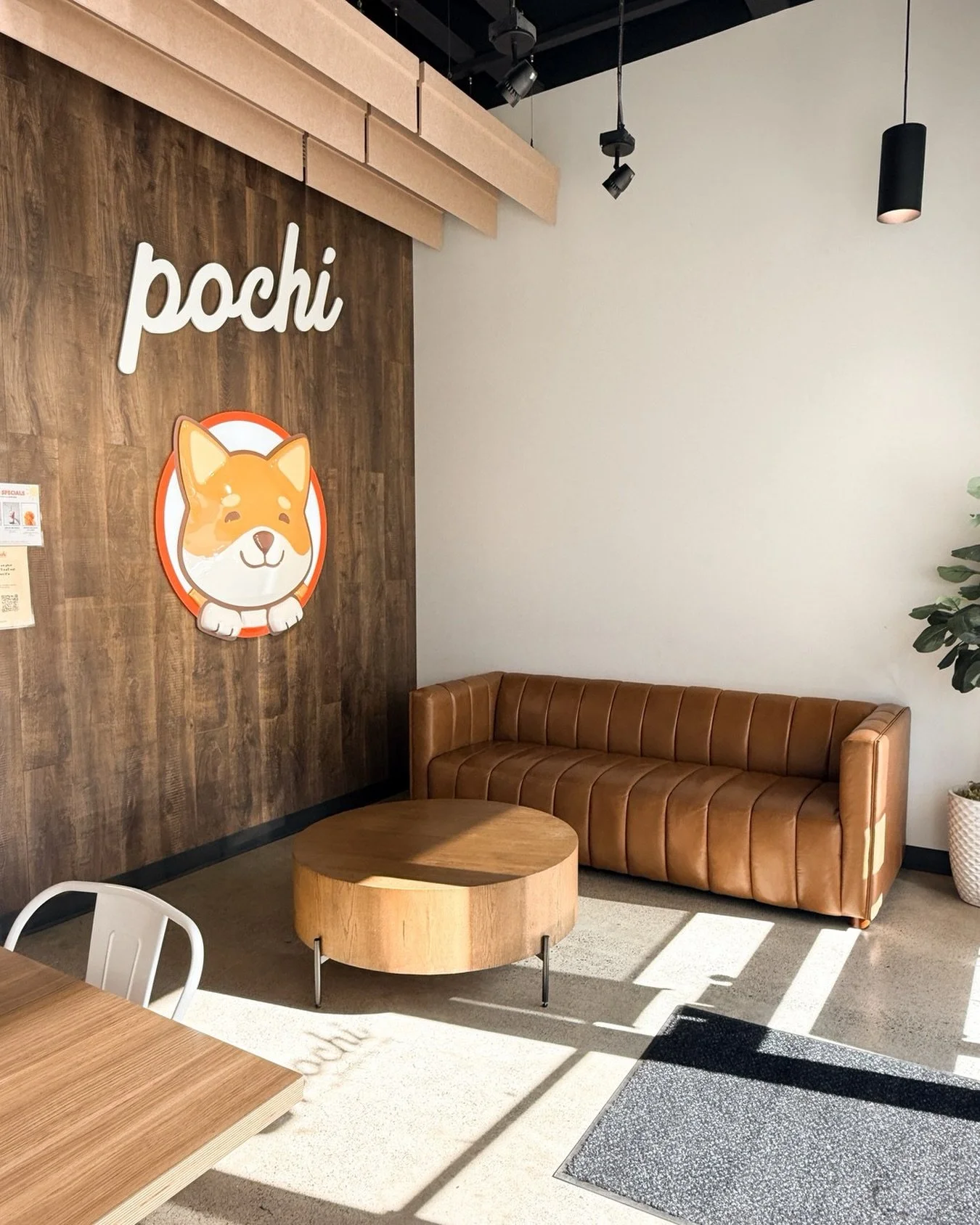 Our Pochi dog, on that wall, has heard every catch up on that couch and repeated none of them. 🤫

Your secrets are definitely safe. 😌 This corner is yours, Marysville. ✨

#bubbleteashop #pochi #marysvillewa #tulalipwa #mountvernonwa