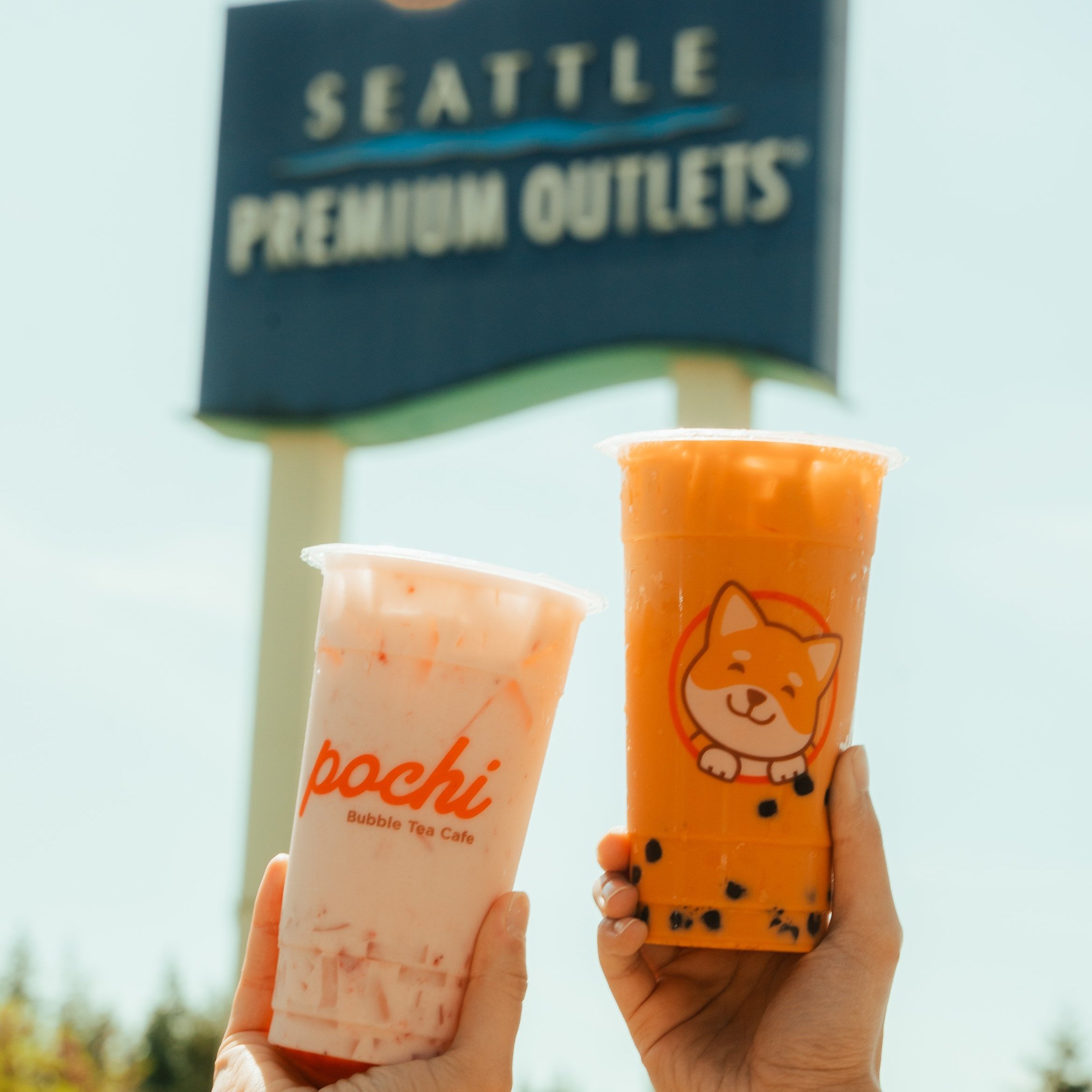 Pochi Bubble Tea's Branding 101 — Pochi Bubble Tea Cafe