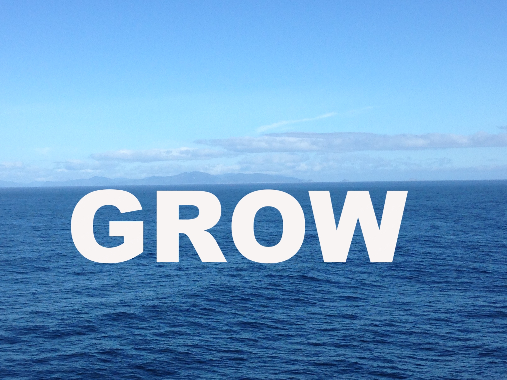 beach waves website.JPG