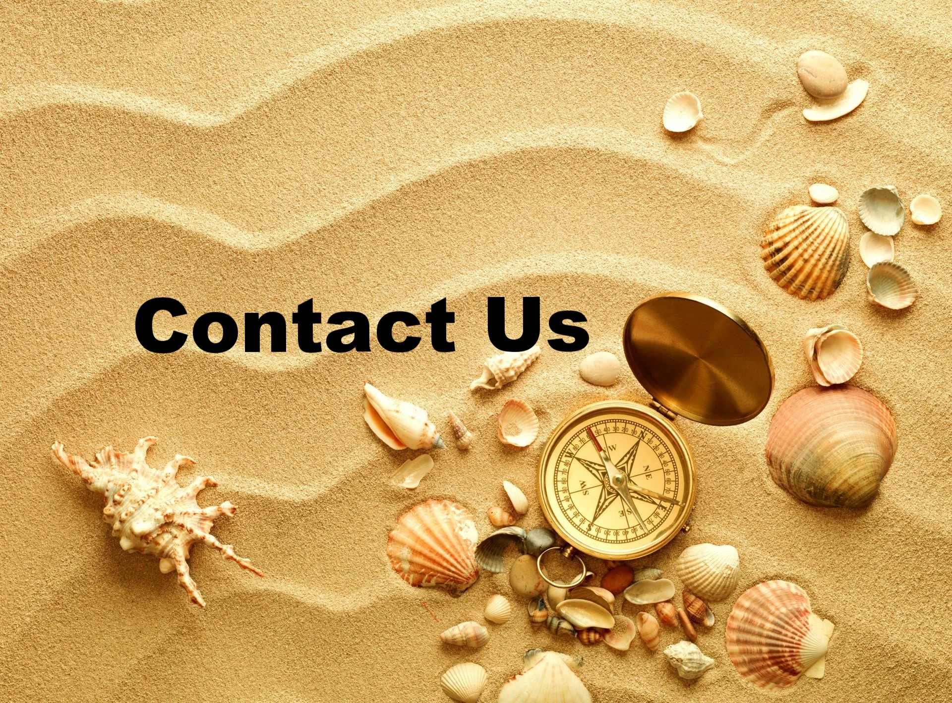 sand shells compass.jpg