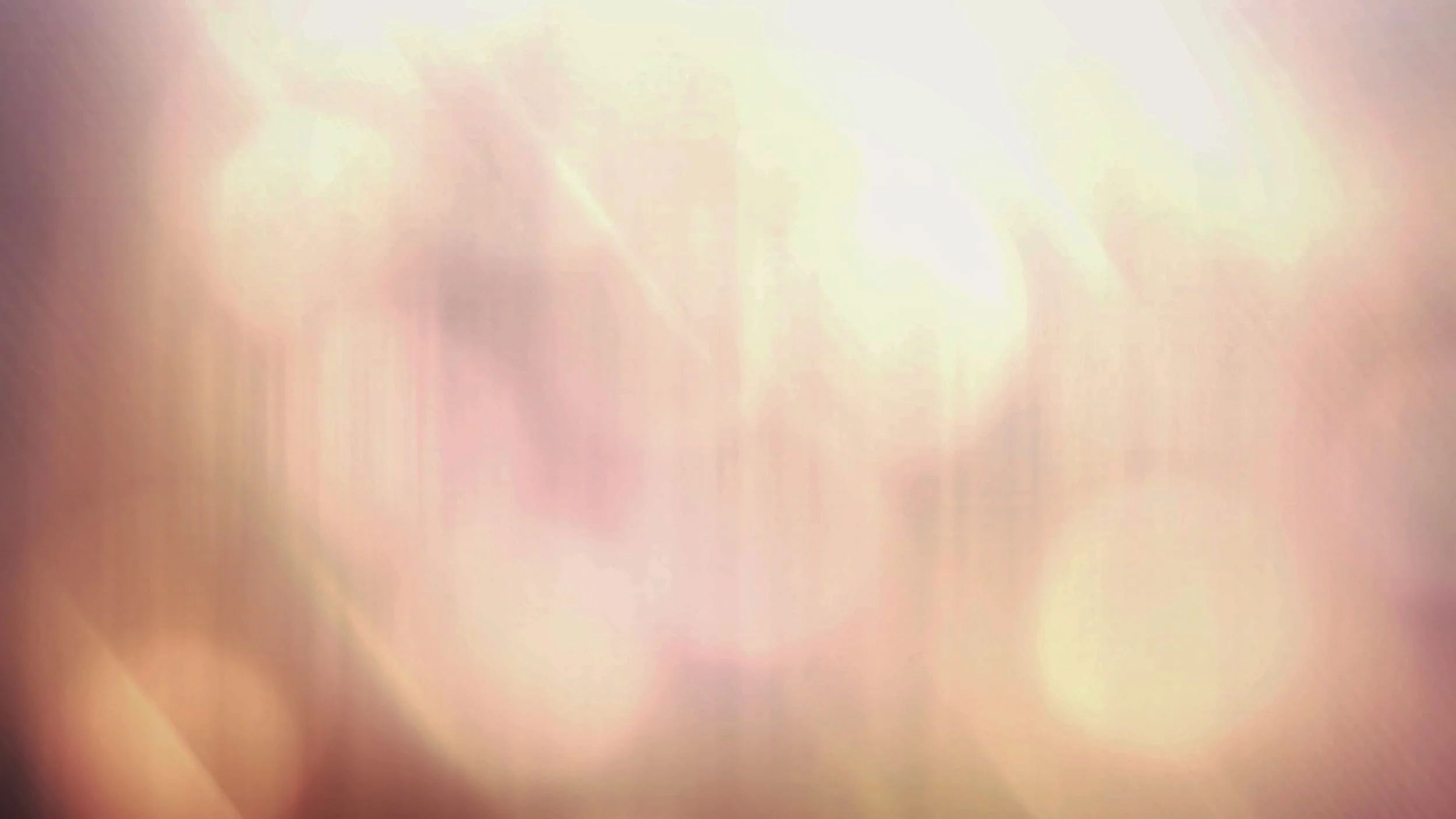 Portraits Banner Image.jpg