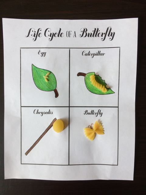 This life cycle craft gets kids using their noodles & the ones they eat. 