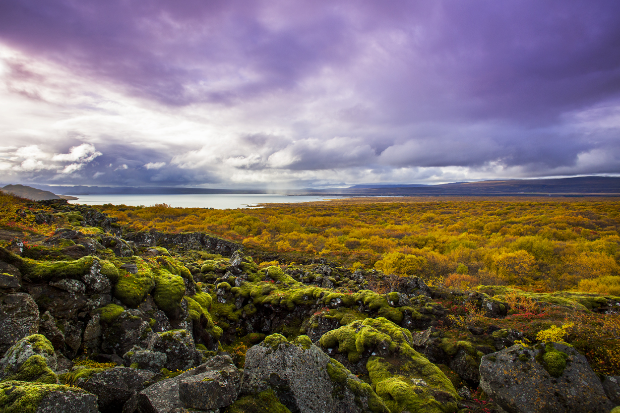 Iceland 2015 (62).jpg