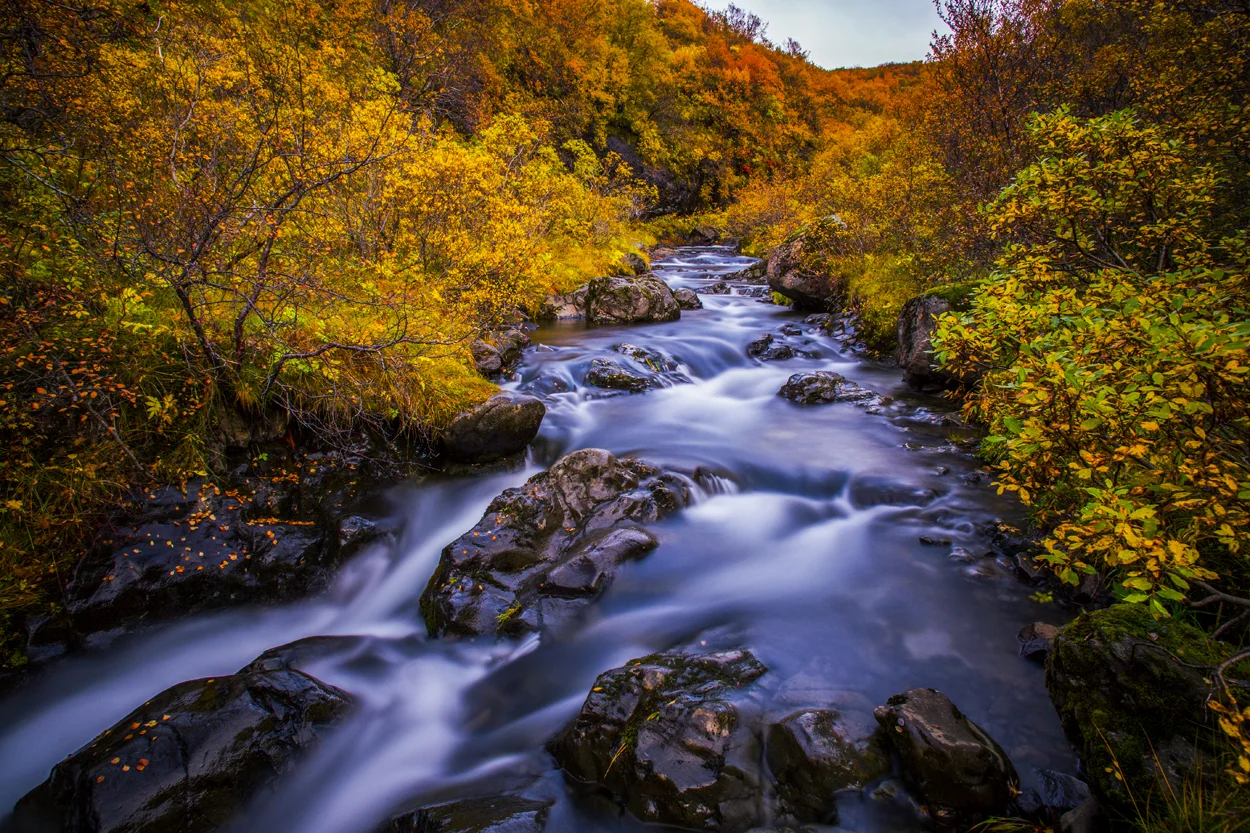 Iceland 2015 (296).jpg