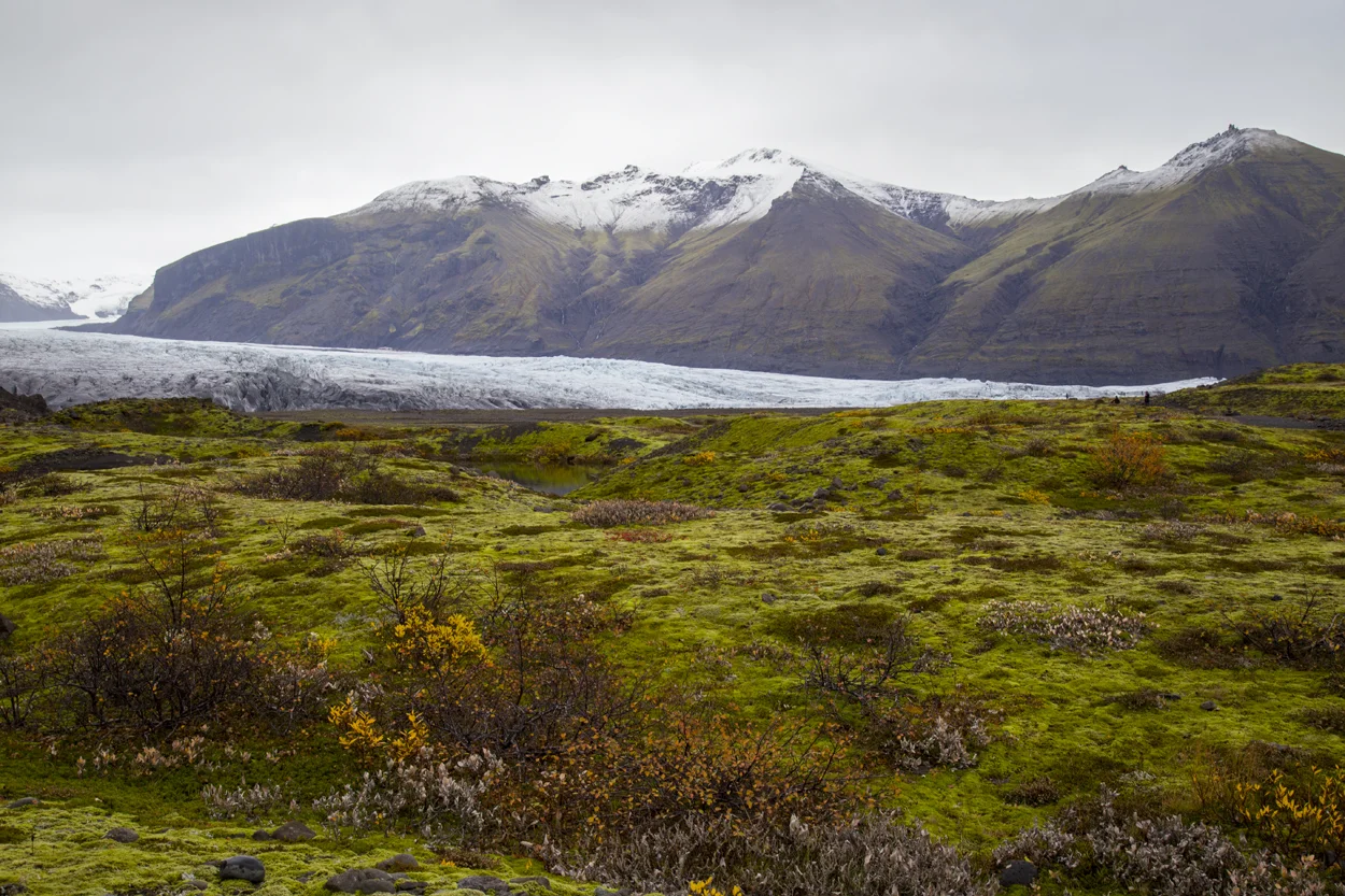 Iceland 2015 (306).jpg