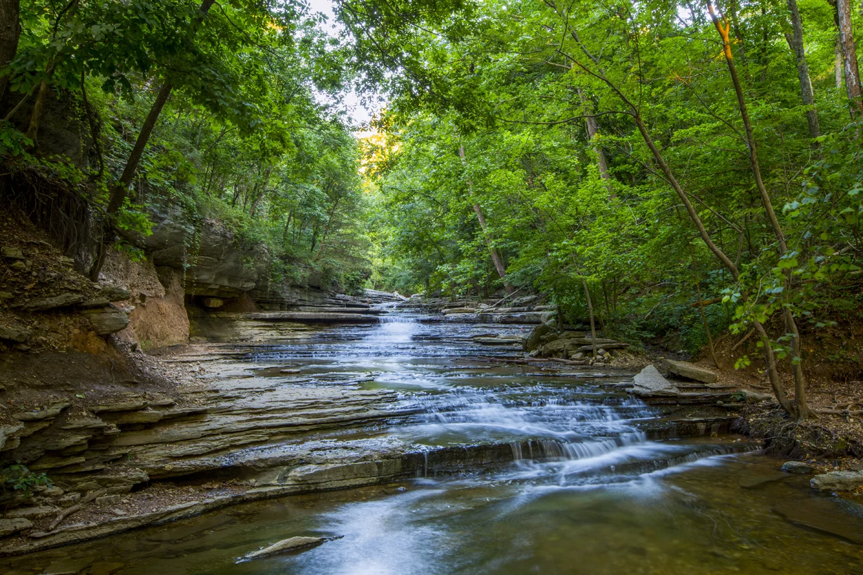 Michigan-4.jpg