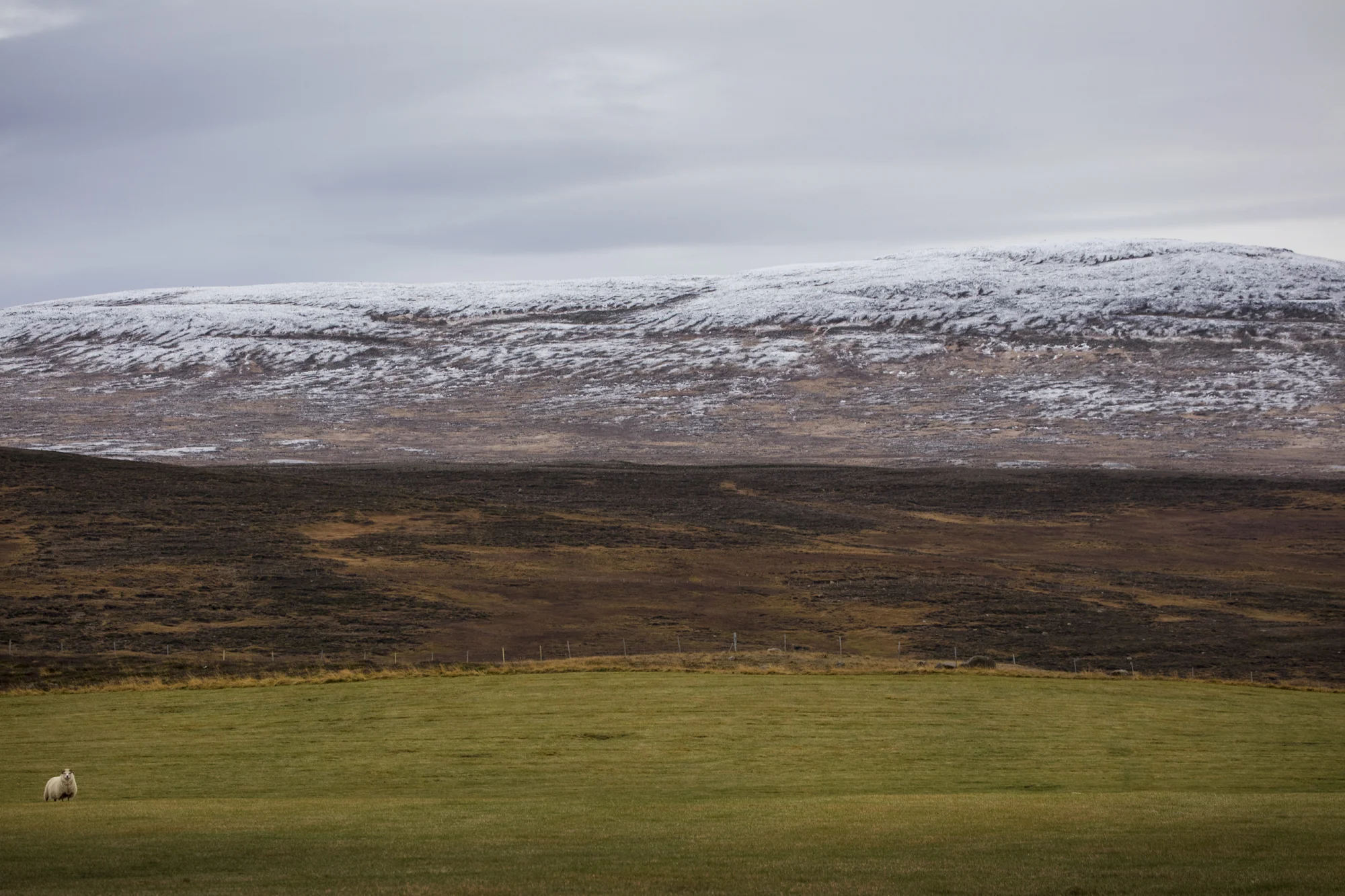Iceland Euro 2016_49.jpg