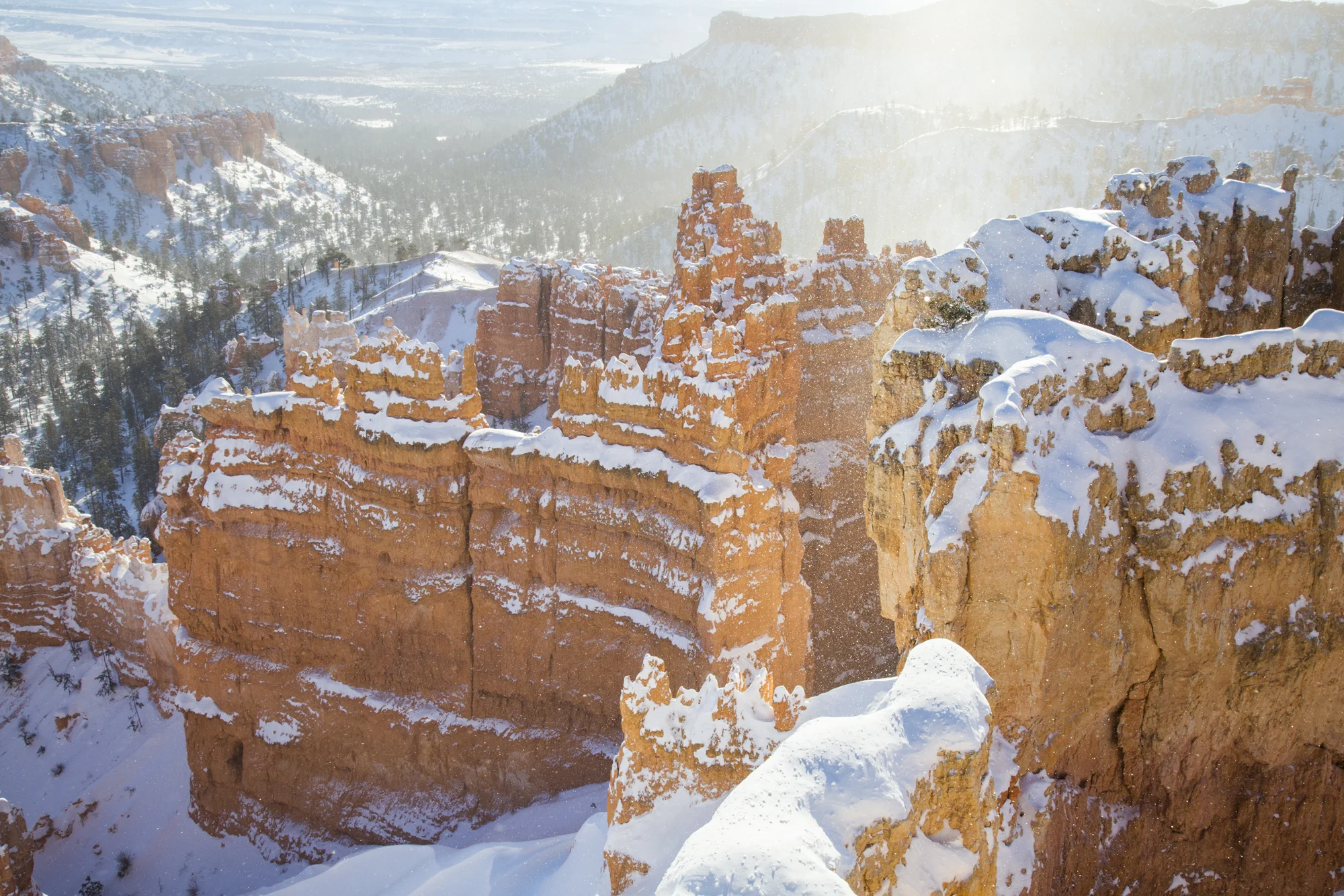 Southwest 2016_114.jpg