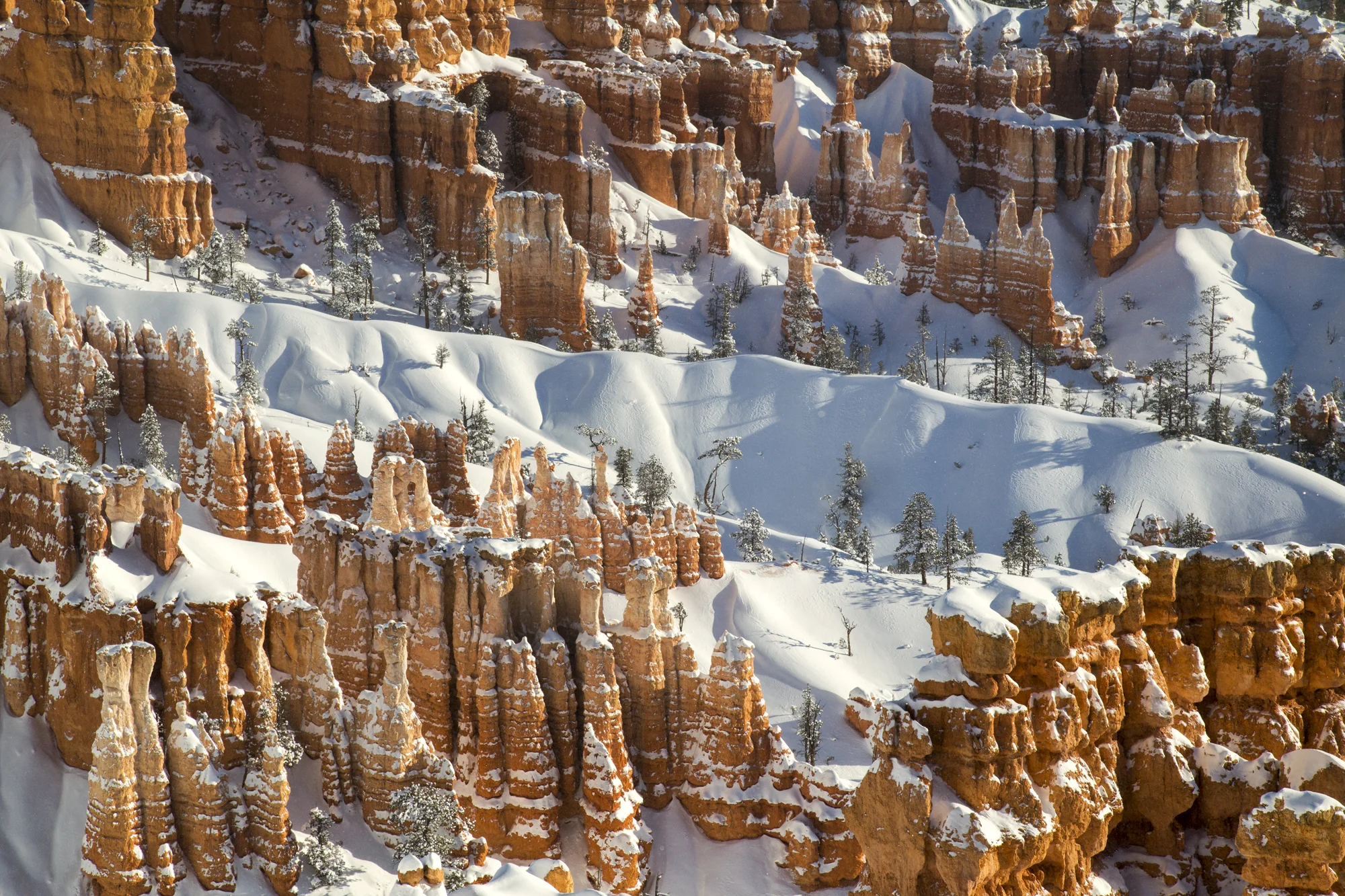 Southwest 2016_119.jpg