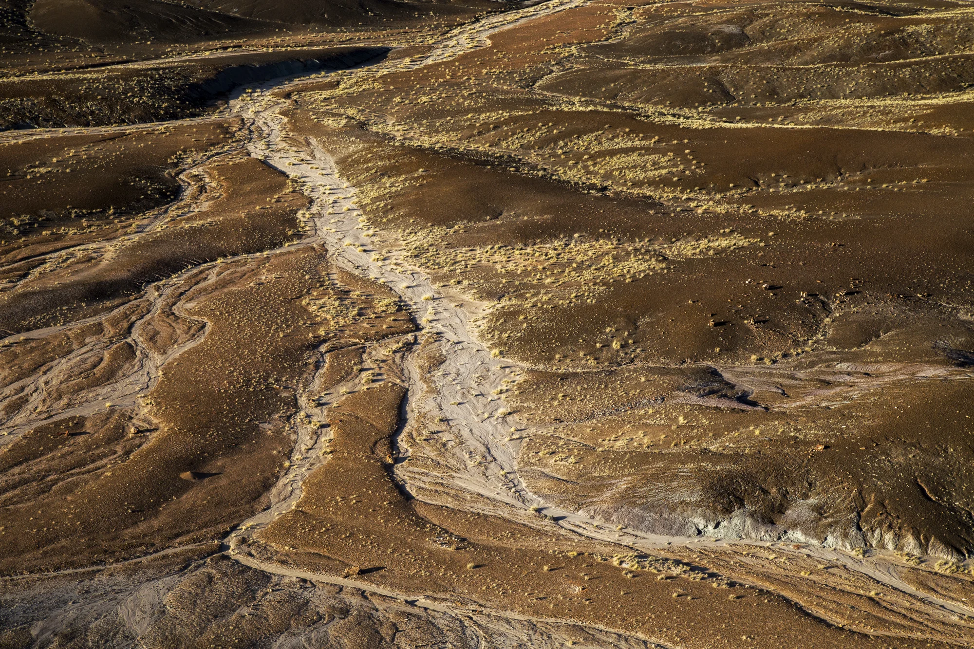 Southwest 2016_58.jpg
