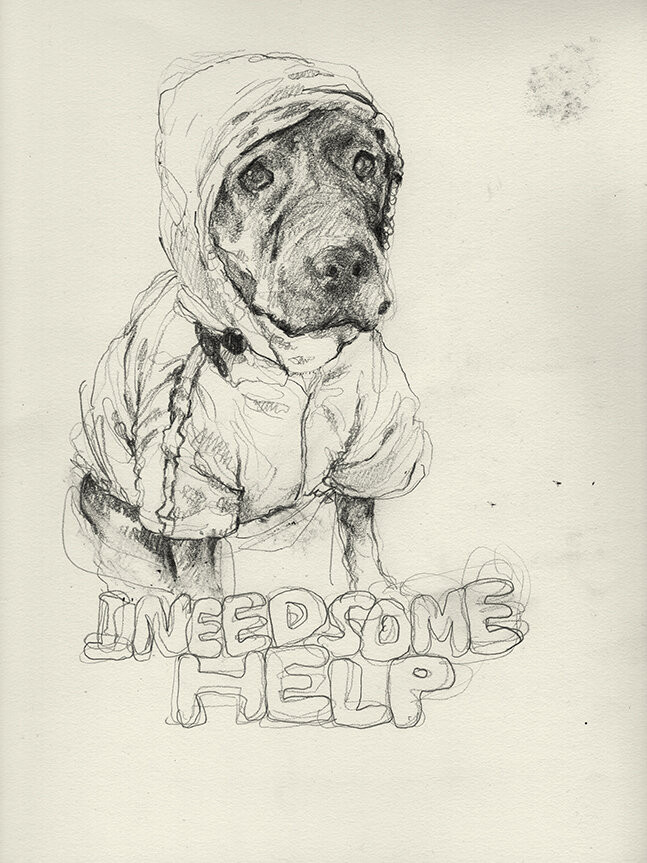 Sad Dog (Help)