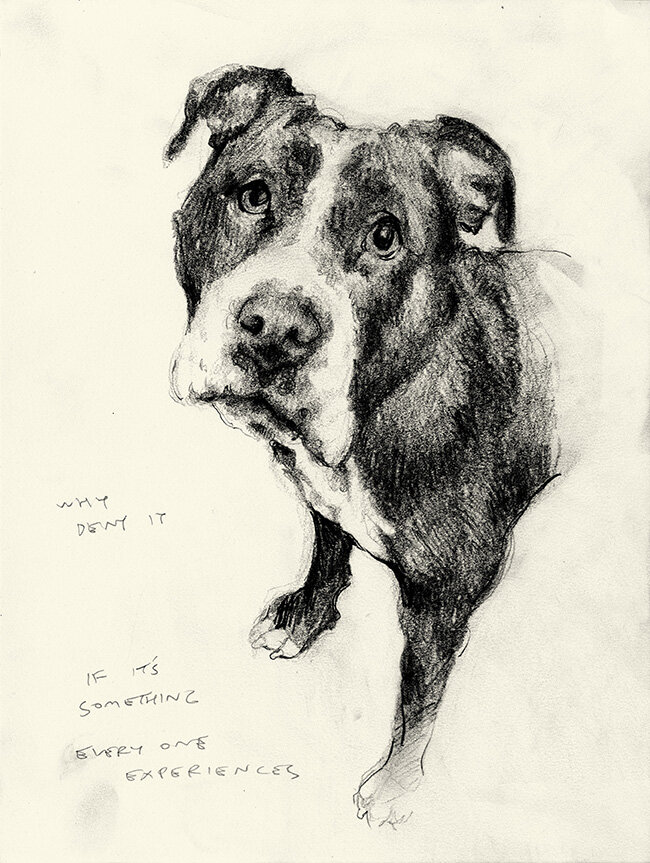 Sad Dog (Experiences