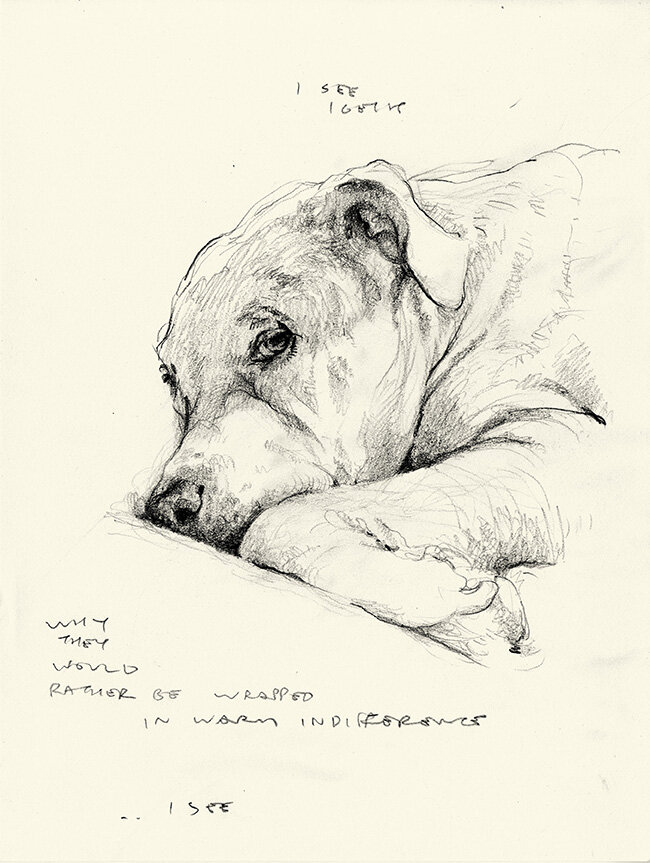 Sad Dog (Indifferences)