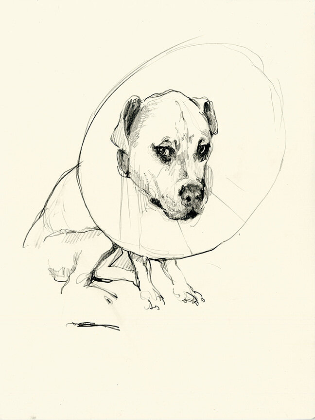 Sad Dog (Cone)