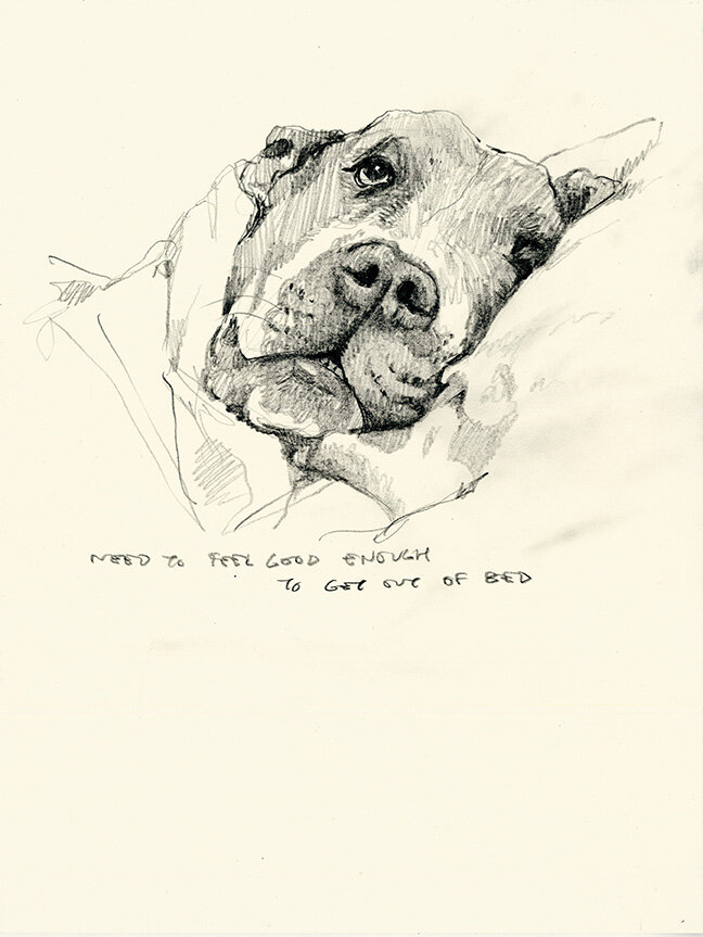 Sad Dog (Good Enough)