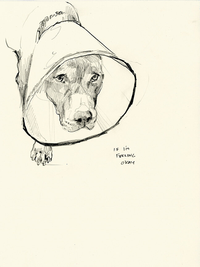 Sad Dog (Feeling Okay)