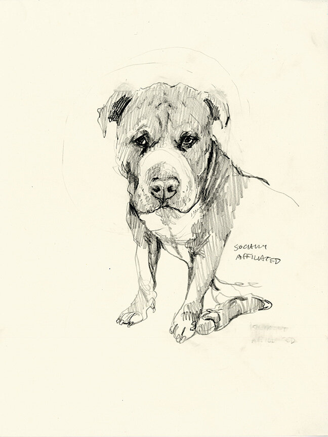 Sad Dog (Affiliated)