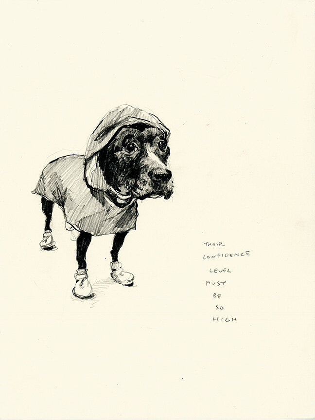 Sad Dog (Confidence)