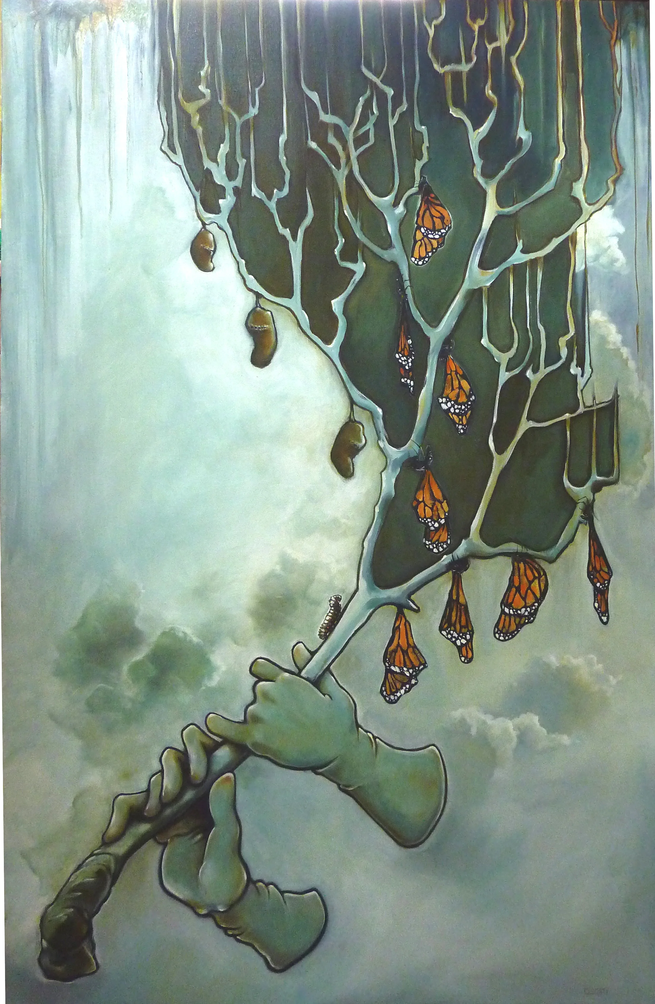 butterflytree.jpg