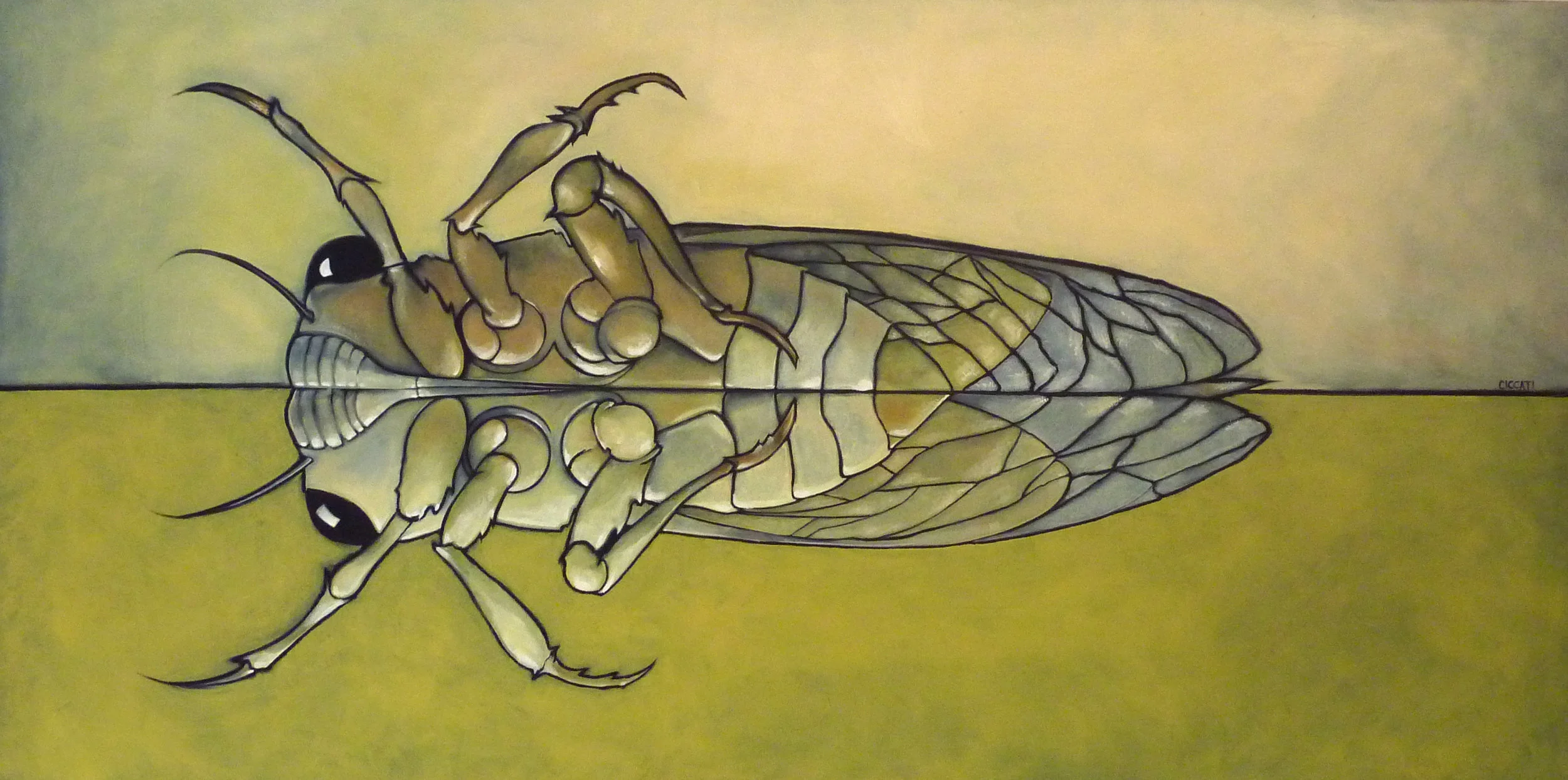 cicada.jpg