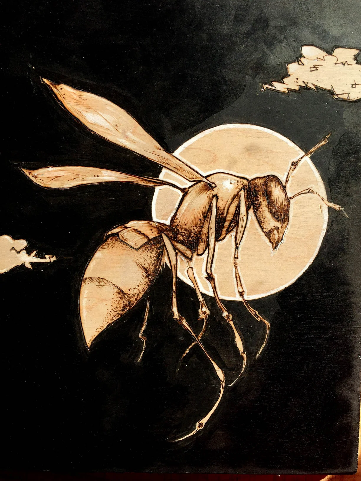 hornet.jpg