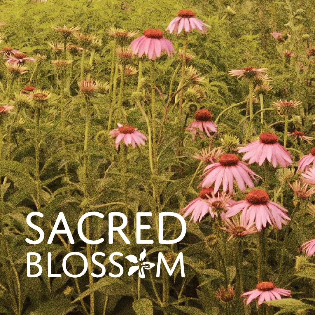 We source many of our ingredients from Midwest farms - one of which is @sacredblossomfarm in Gilmanton, WI! Tony is growing some truly exceptional herbs, their potency and quality is unbelievable! Check out the link in our bio to learn more about Ton