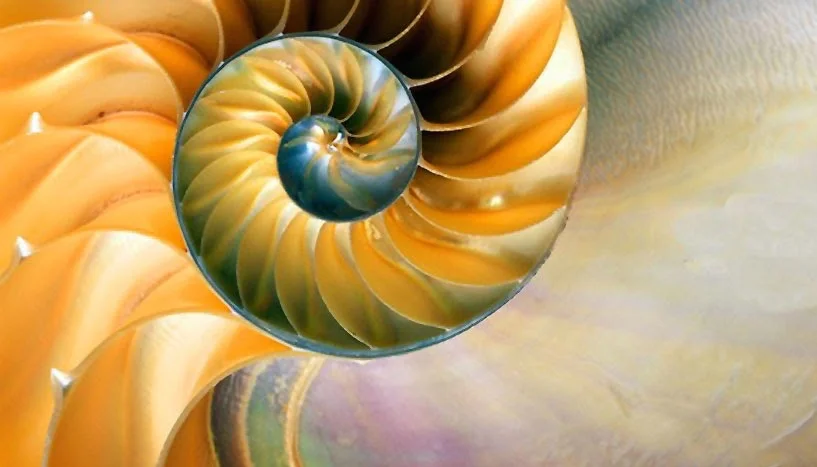 RETURN to WHOLENESS RETREAT - Ireland