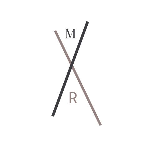 Final MRx X Logo (Playfair & Roboto).png