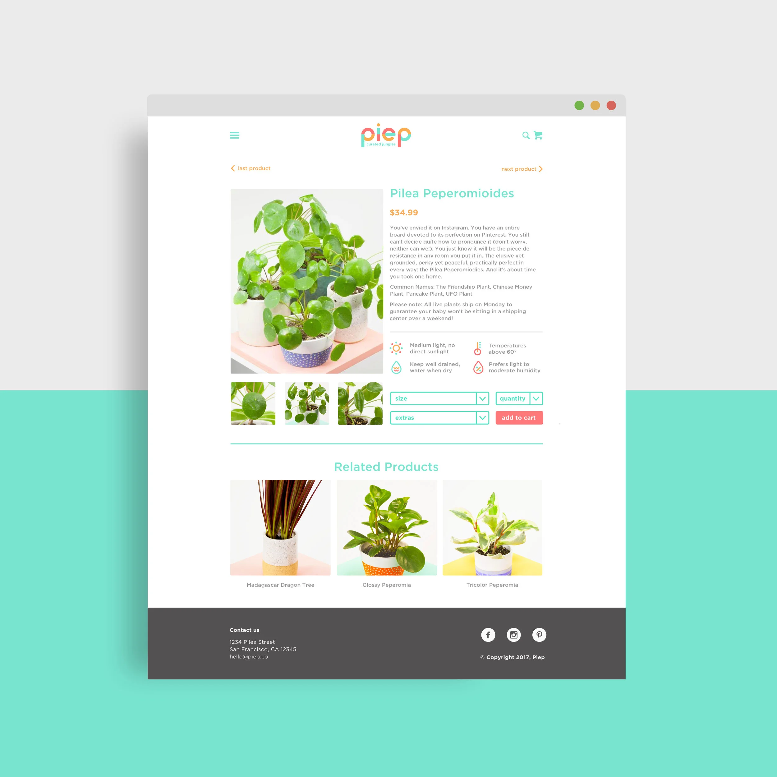 Shanti-Sparrow_piep_work_ecommerce page.jpg