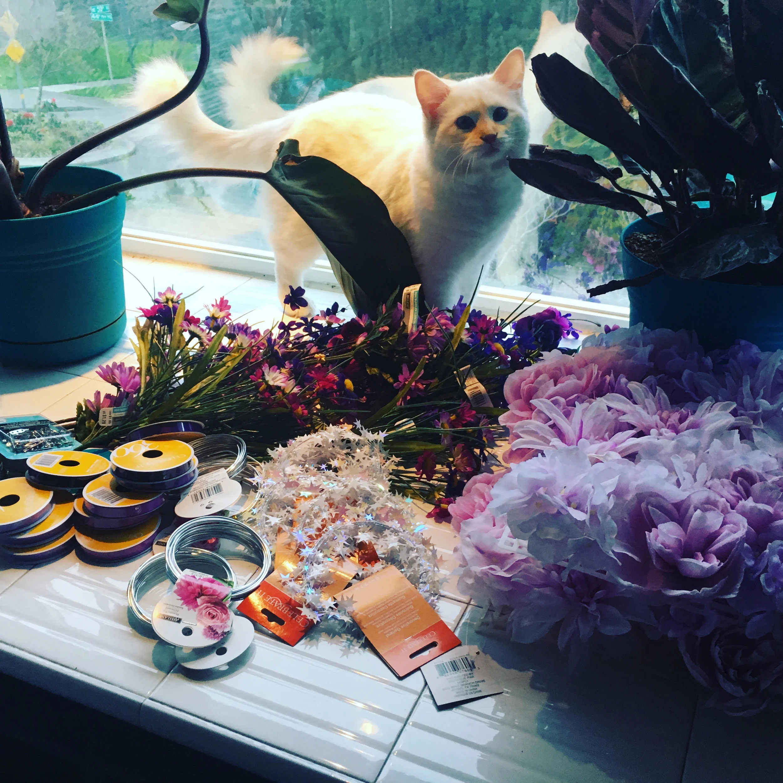 Harvey surveys the craft materials.