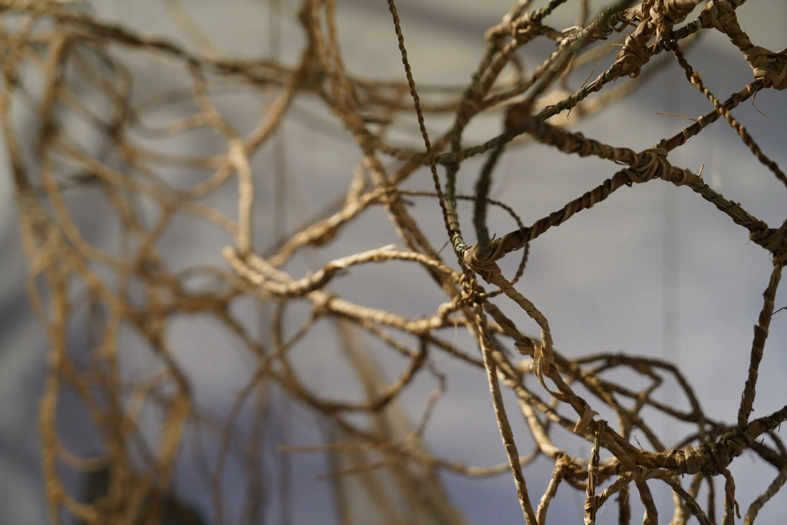 WELLING AND SEEPAGE: WEAVING WATER 2026