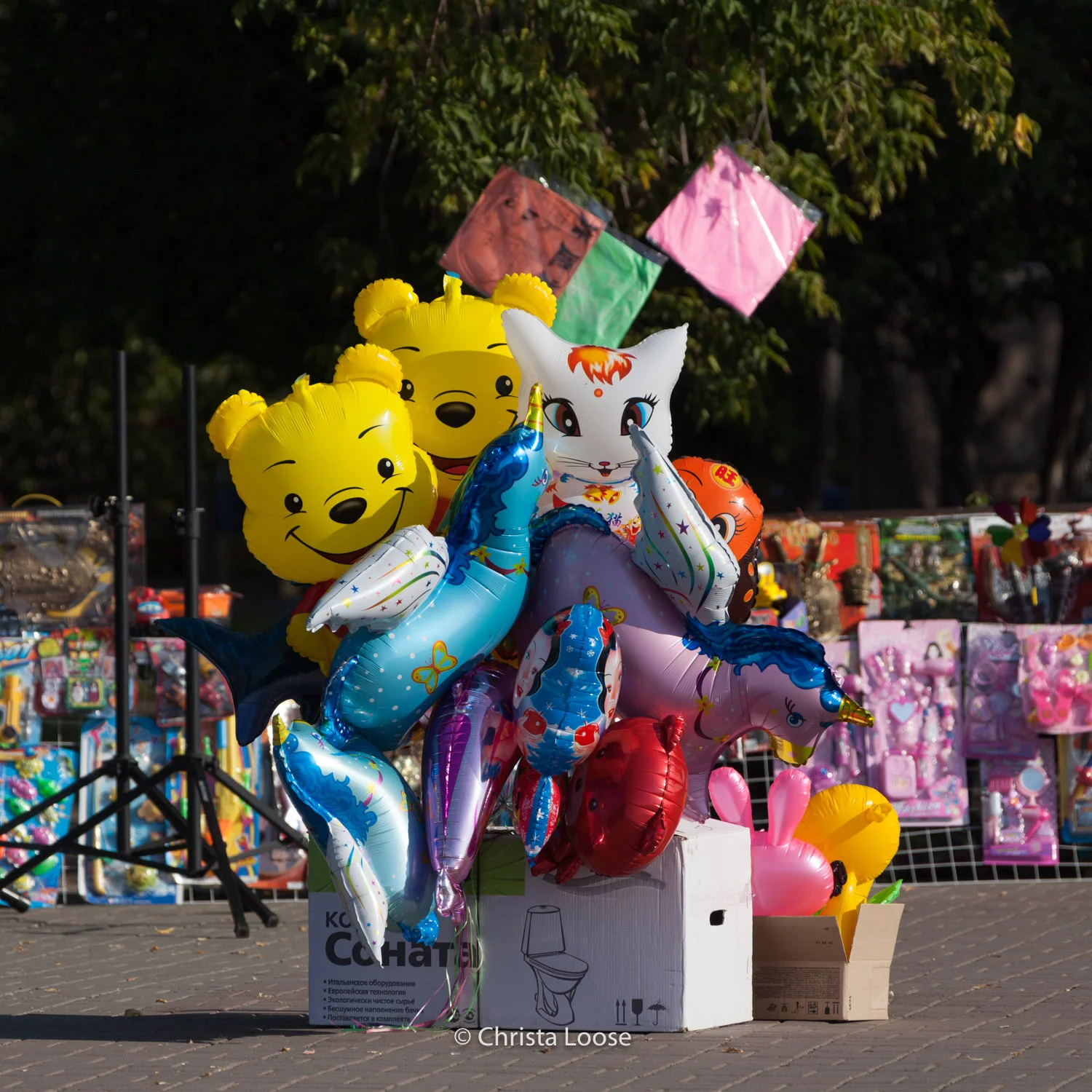 2013_09_06_3321.jpg