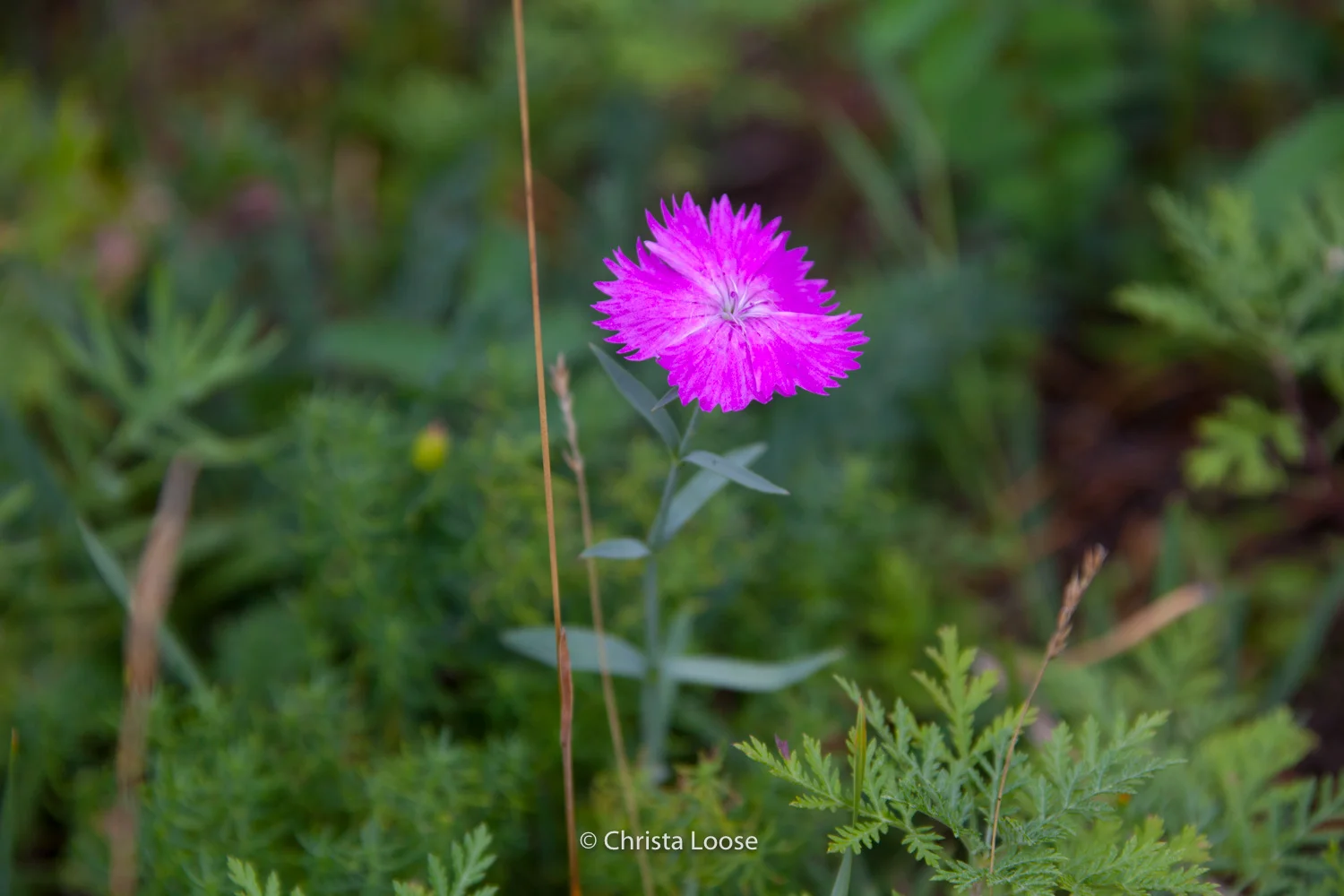 2013_09_08_3806.jpg