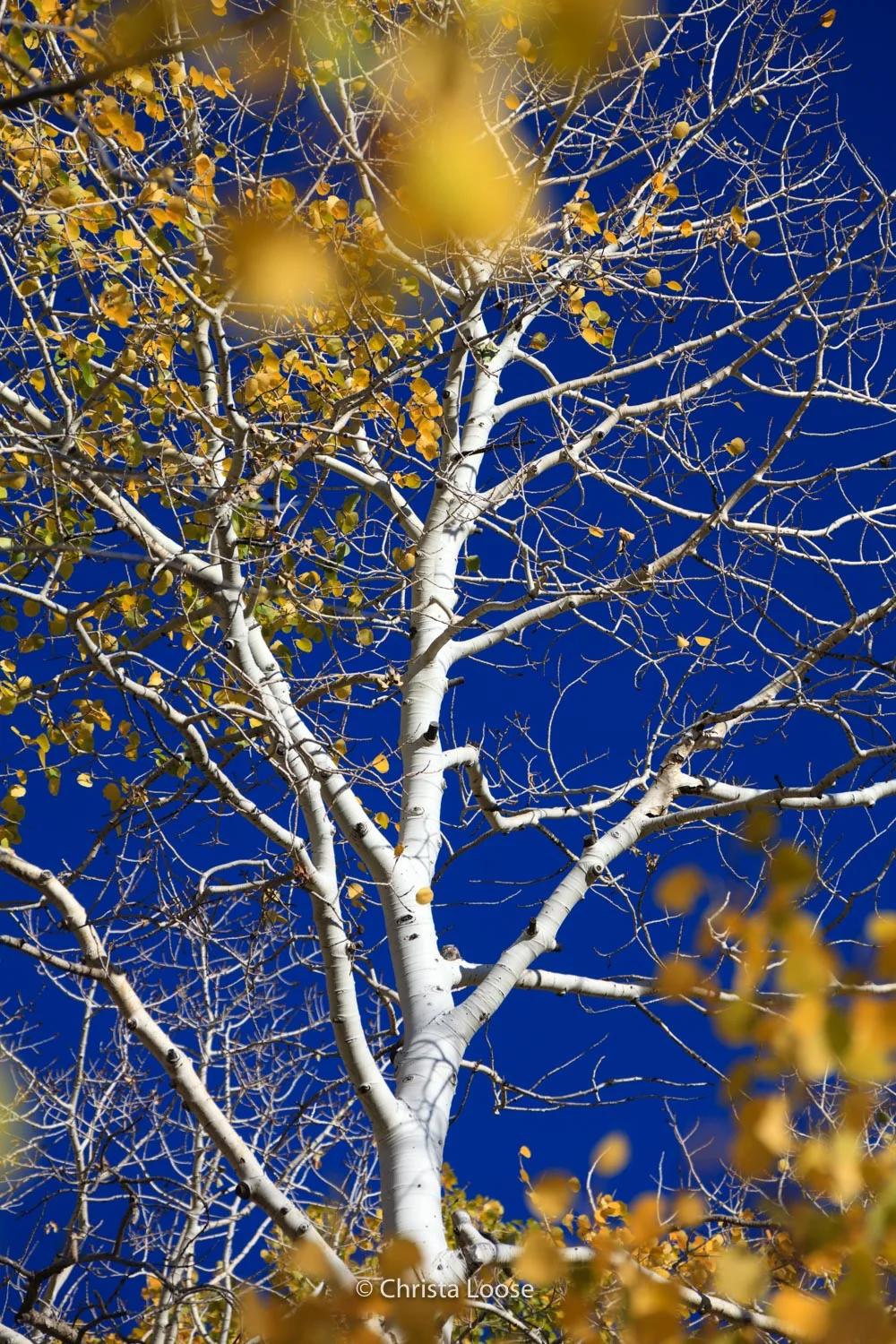 2012-10-02 07.16.00_Loose.jpg