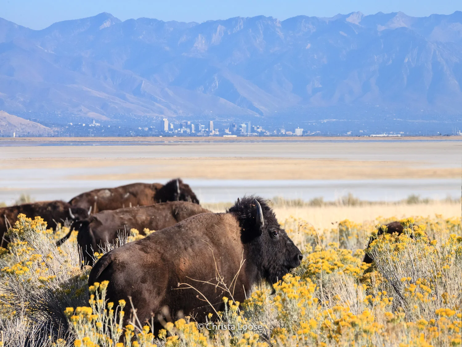 2012-10-08 06.29.26_Loose-Bearbeitet.jpg