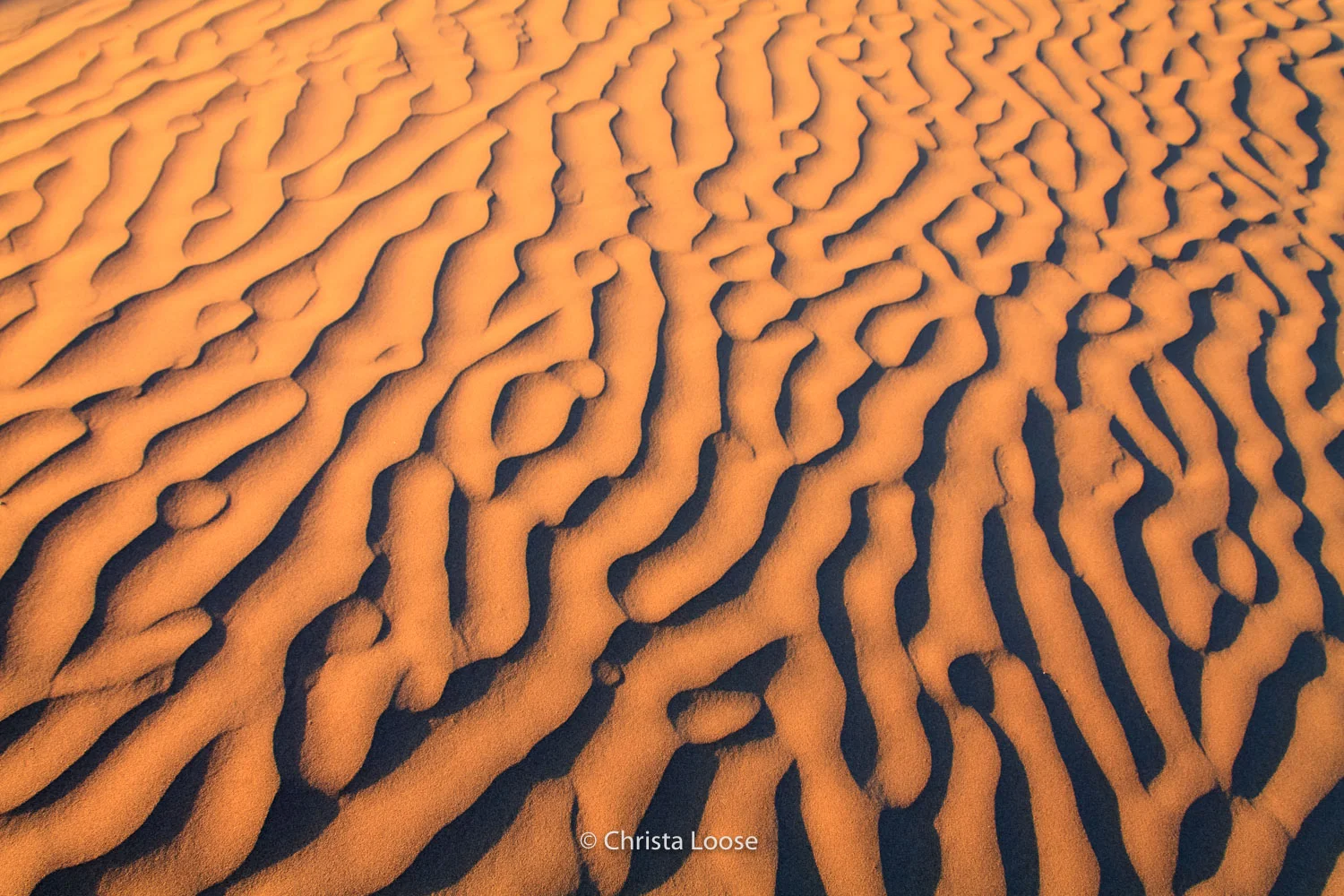 2012-10-09 08.37.25_Loose.jpg