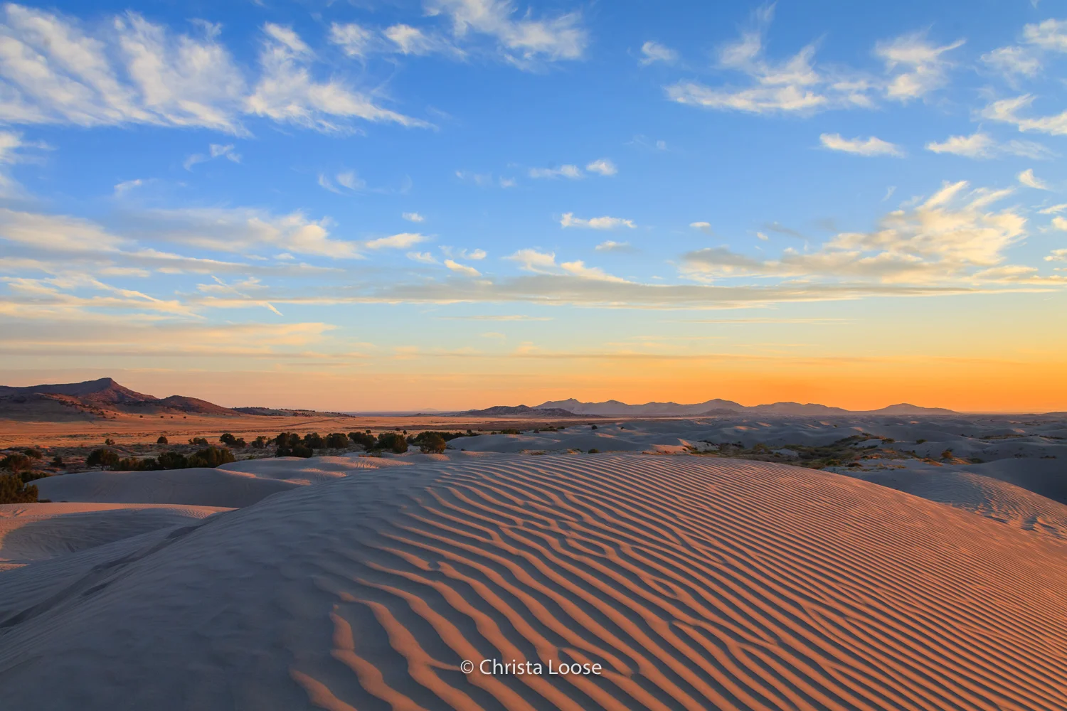 2012-10-09 08.45.24_Loose.jpg