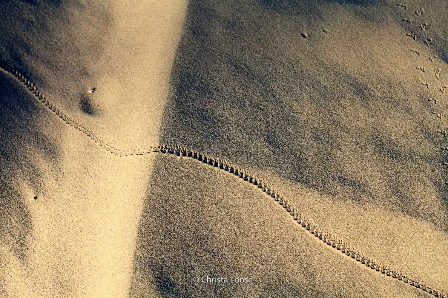 2012-10-09 22.31.20_Loose.jpg