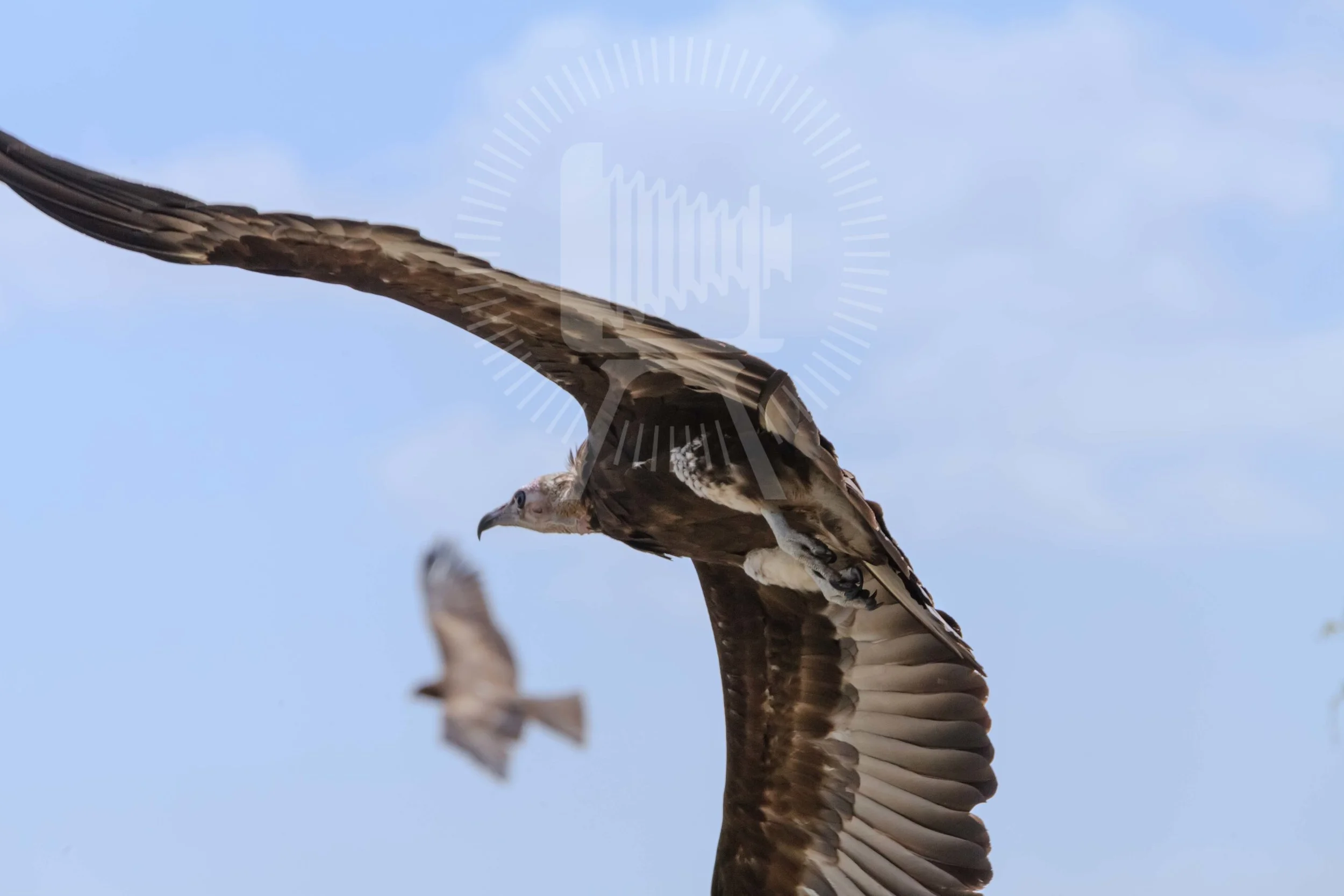 2019-Ethiopia-Fistula-1477.jpg