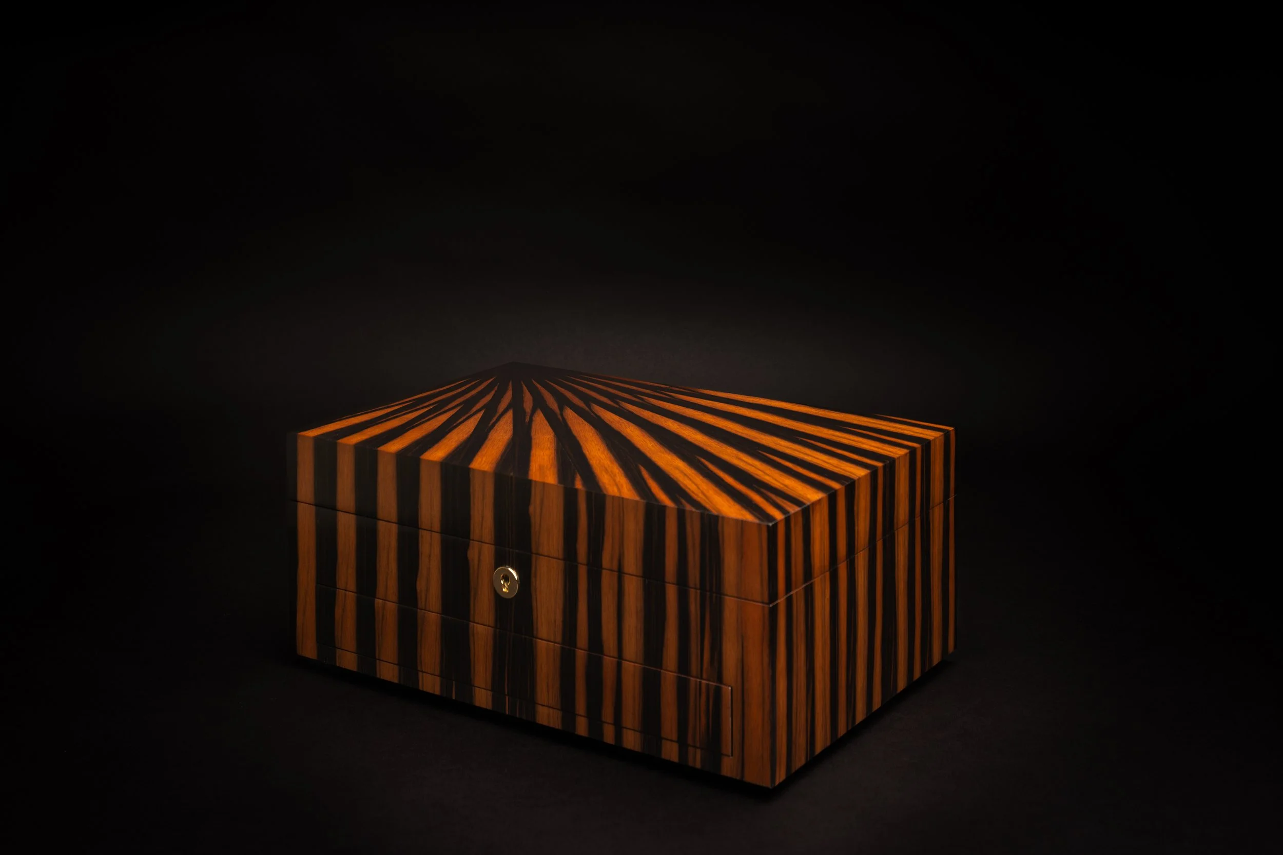 watch box_massacar ebony-41-edit.jpeg