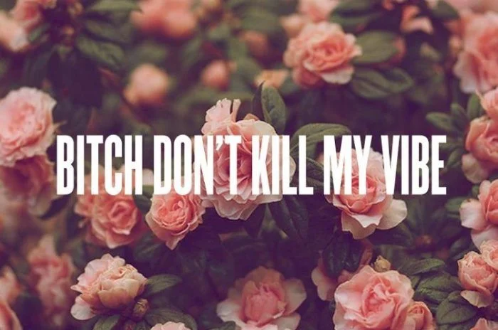 bitch_dont_kill_my_vibe.jpg