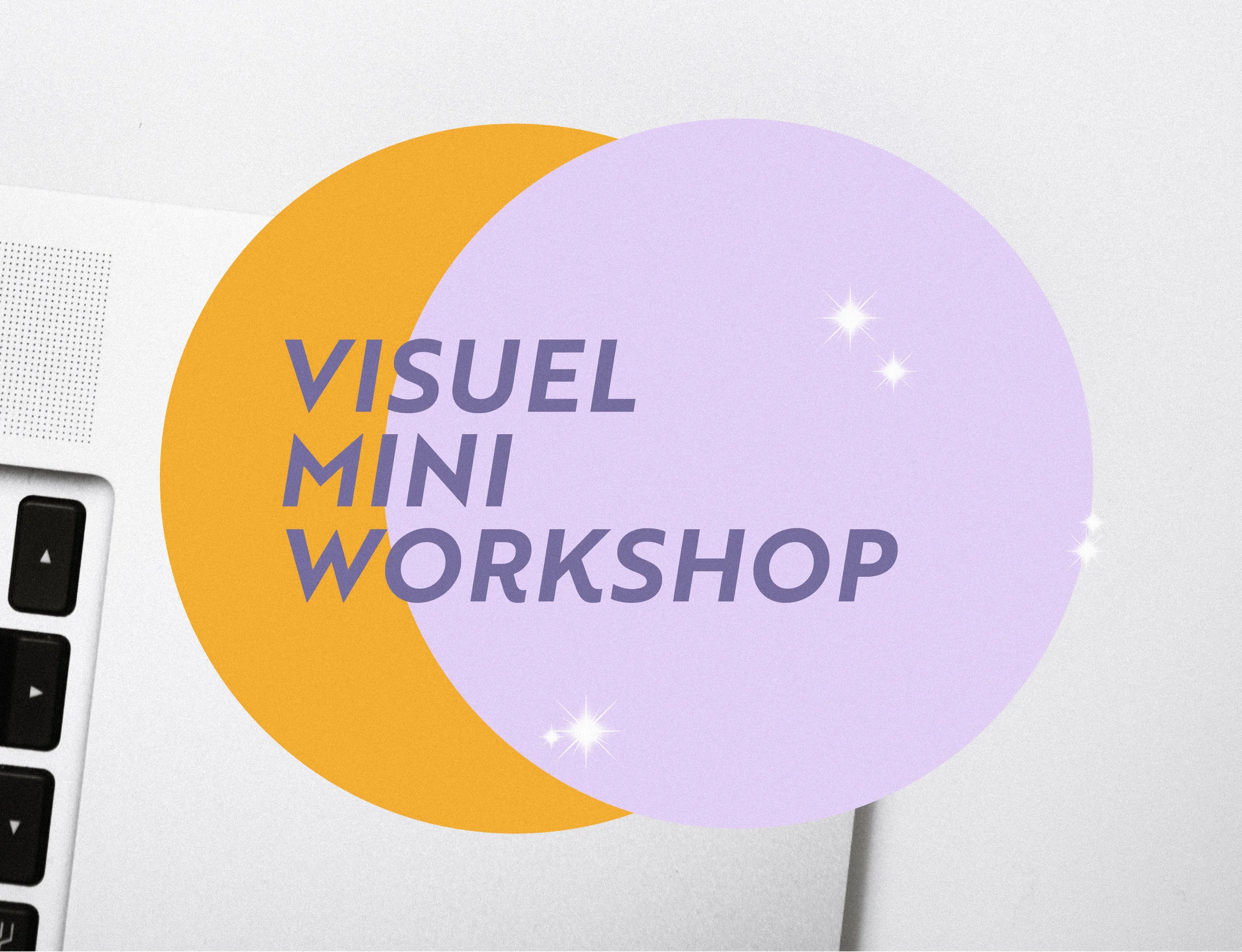 visuelminia.jpg